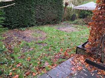 Achtertuin kunstgras in Wormerveer